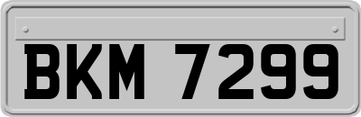 BKM7299