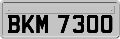 BKM7300