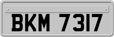 BKM7317