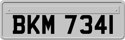 BKM7341