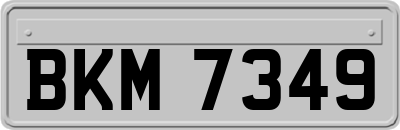 BKM7349