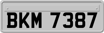 BKM7387