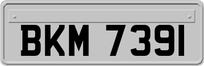 BKM7391