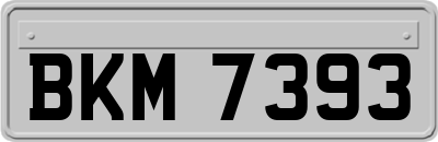 BKM7393