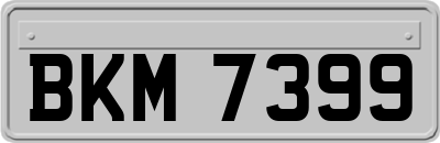 BKM7399