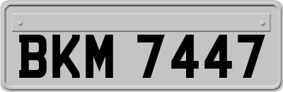 BKM7447