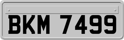 BKM7499