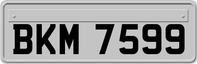 BKM7599