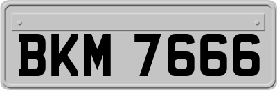 BKM7666