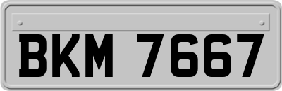 BKM7667