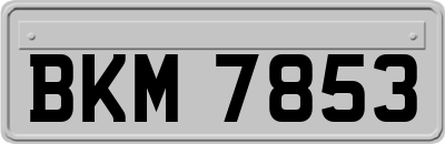 BKM7853