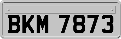 BKM7873