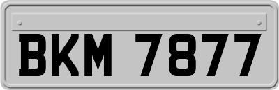 BKM7877