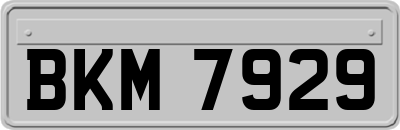BKM7929