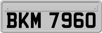 BKM7960
