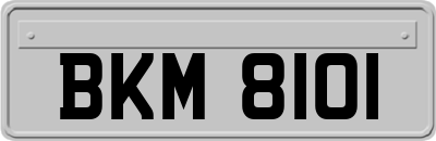 BKM8101
