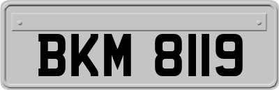 BKM8119