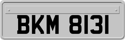 BKM8131