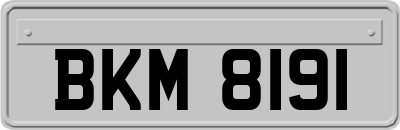 BKM8191