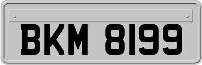 BKM8199