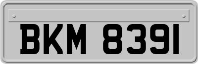 BKM8391