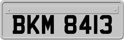 BKM8413
