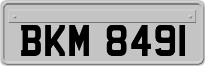 BKM8491