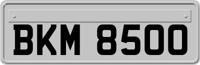 BKM8500