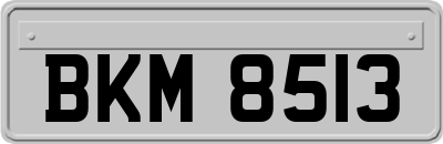 BKM8513