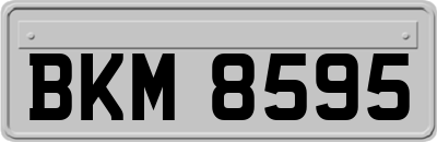 BKM8595