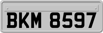BKM8597