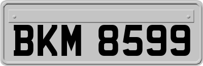 BKM8599