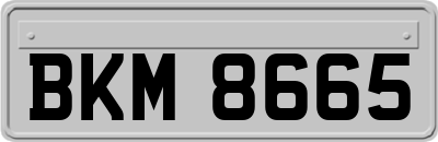 BKM8665