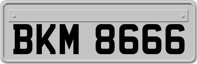 BKM8666