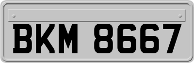 BKM8667