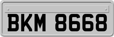 BKM8668