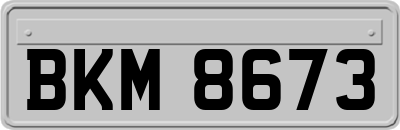 BKM8673