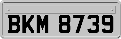 BKM8739