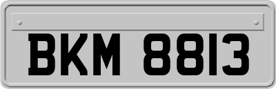 BKM8813