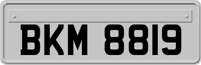 BKM8819