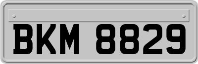 BKM8829