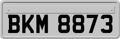 BKM8873