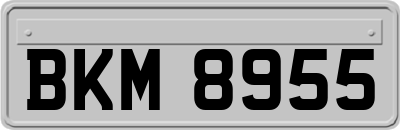 BKM8955