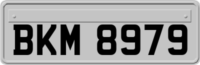 BKM8979