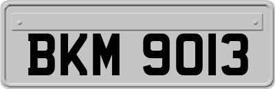 BKM9013
