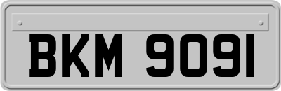 BKM9091