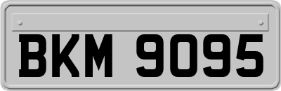 BKM9095
