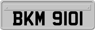 BKM9101