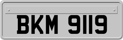 BKM9119
