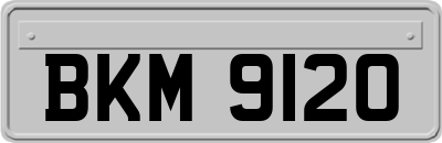 BKM9120